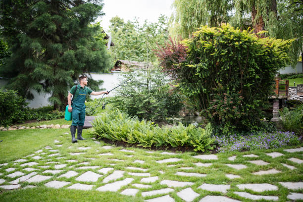 Best Best Pest Control Companies  in North Babylon, NY