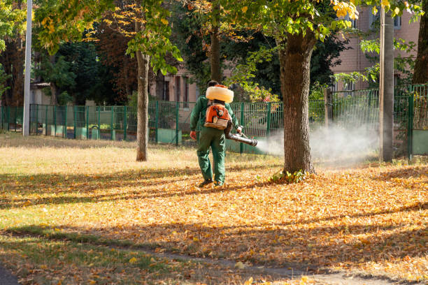 Best Residential Pest Control  in North Babylon, NY
