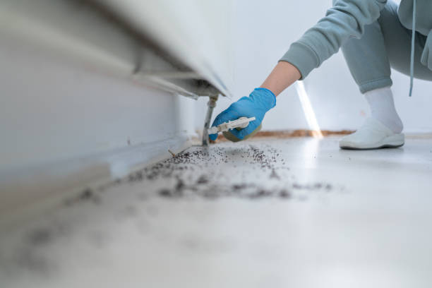 Best Commercial Pest Control Services  in North Babylon, NY